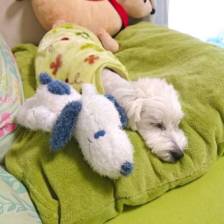 D2c9219c 54ab 400e 9264 e588040d52fc