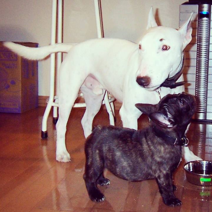 D2c9924e 5084 4e12 9bad a9b8cf15b837