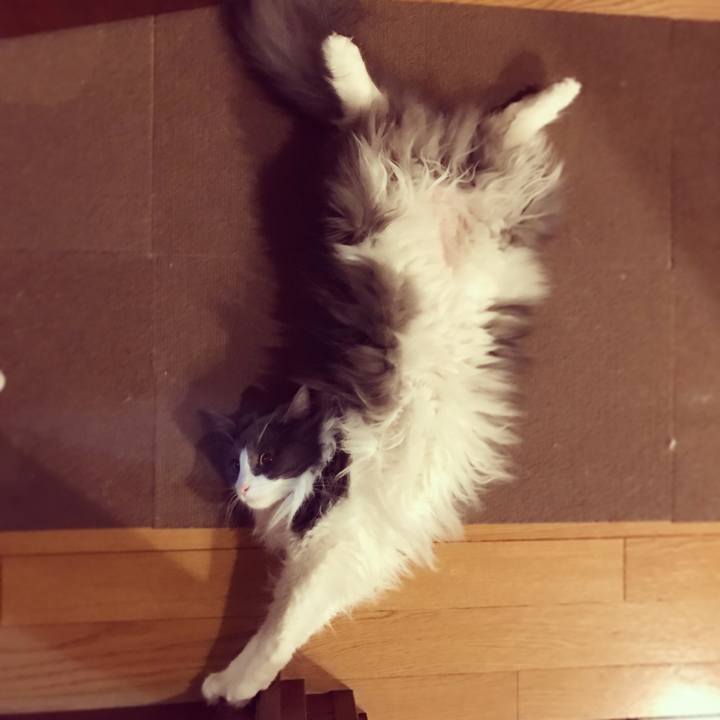 D2c9a285 44ad 4392 8f07 574f7f9933a6