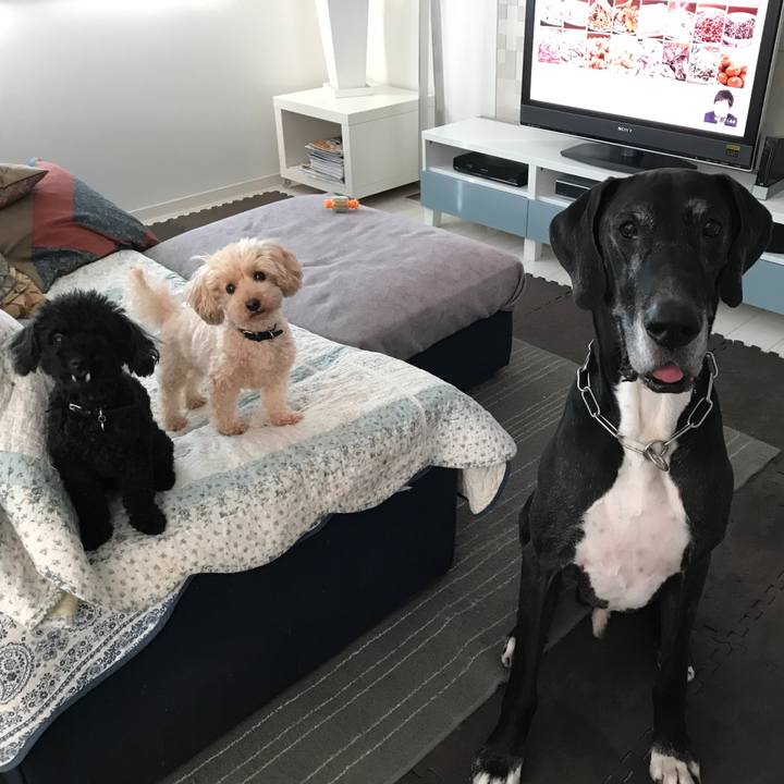 D2c9efc2 8f7a 4096 950f 81b190d5d4bf