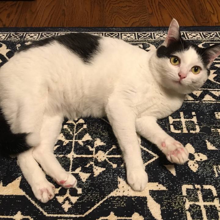 D2cb1a79 f385 420c bbd9 9c28360627dc