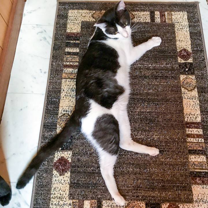 D2cb35a5 d627 430d b7f0 3e2e7c48194e