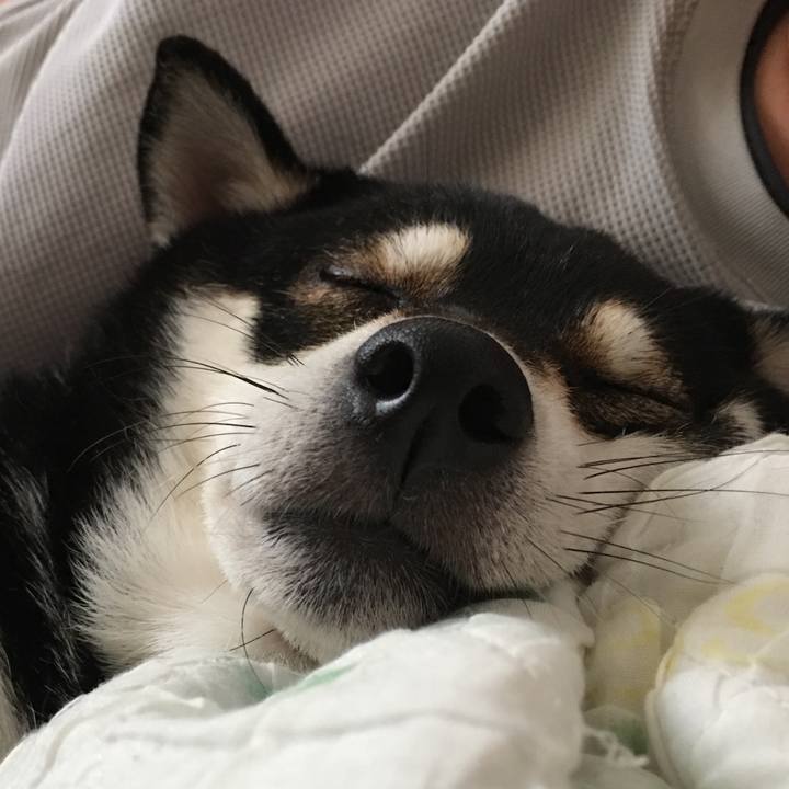 D2cba8dc 30f8 4b3b 8a1b 3482ea8bea99