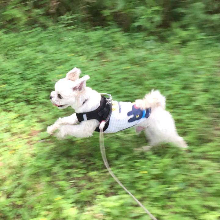 D2cbda24 a6d9 4b6b 82ef d952337eb252