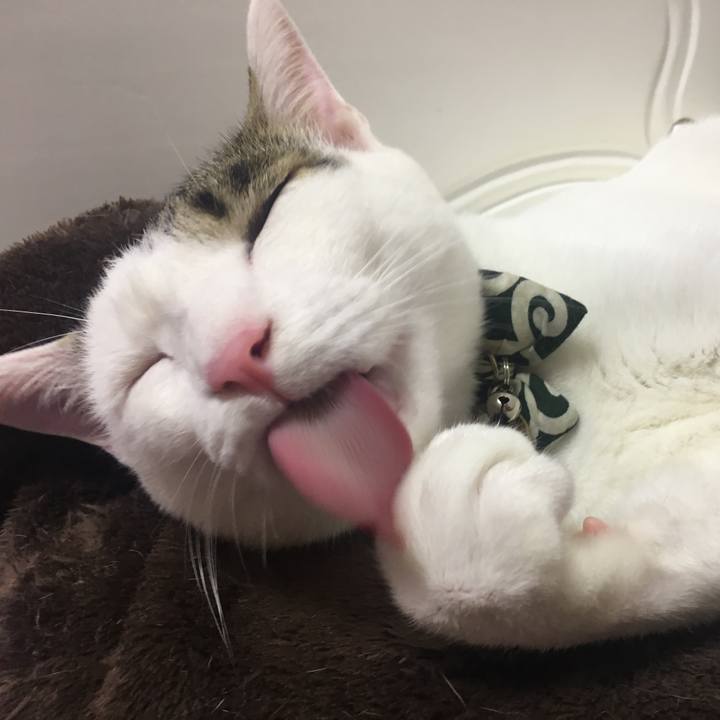 D2cbdaa8 4443 460e 9bc4 5599355887b2