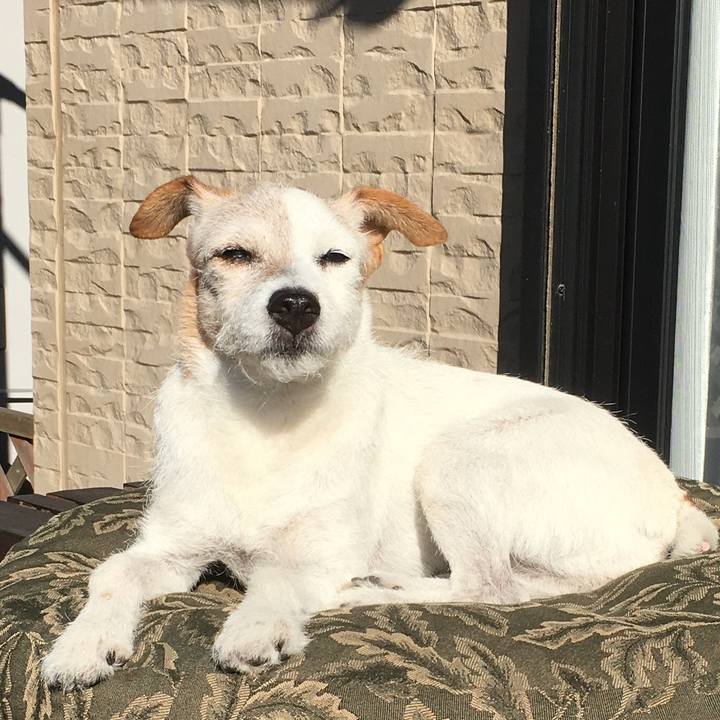 D2cc2f97 ec7c 4f7f 9391 d8bc0aa66c59