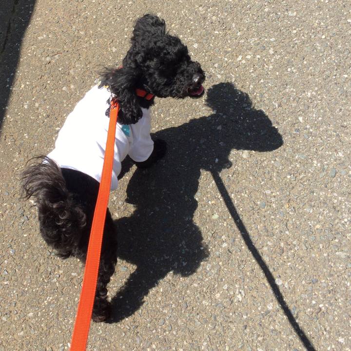 D2cce327 2647 4744 a86b eb4080ffda0b