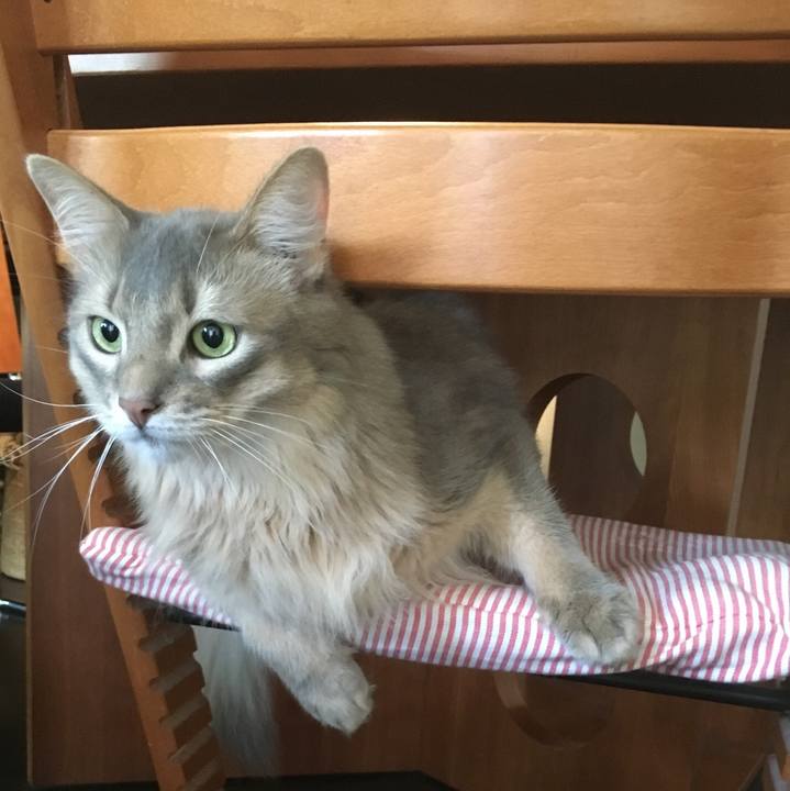 D2cd2a0a 2b19 4e58 ad91 1666aa73dbf0