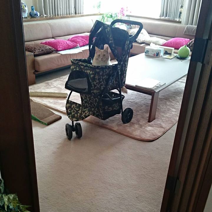 D2cdaef1 4185 4cd5 bb9f 2bbec98e1ecd