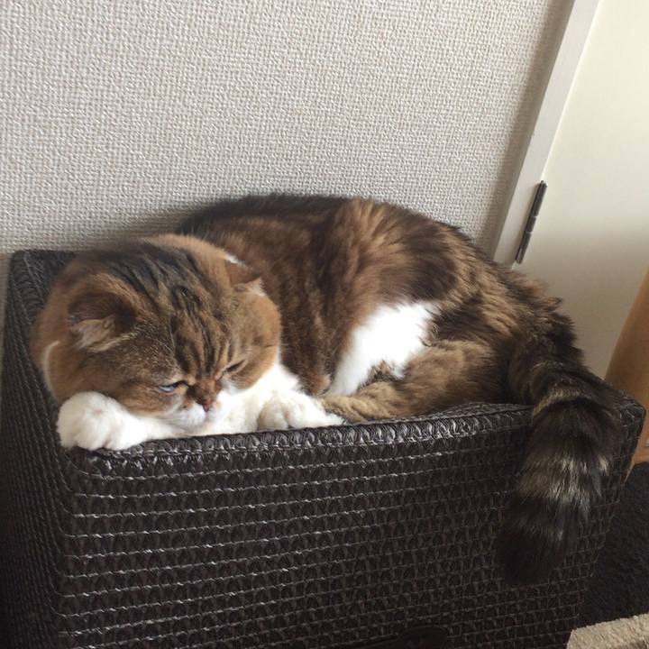 D2ce001a 7f48 4f5a 921c a3ddbe6107b0