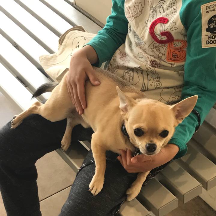 D2ce247b e8b8 465e a44c b0762febee18