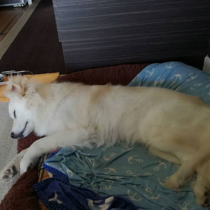 D2ce2dd2 89a5 42c4 8b5b 4503f21e6a42