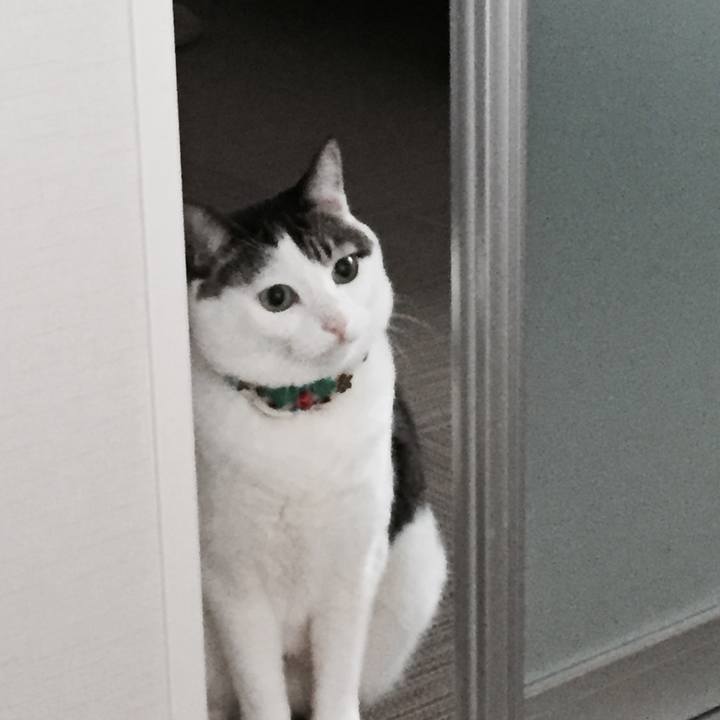 D2ce89be 3627 4d05 99a1 a62435fed0fc