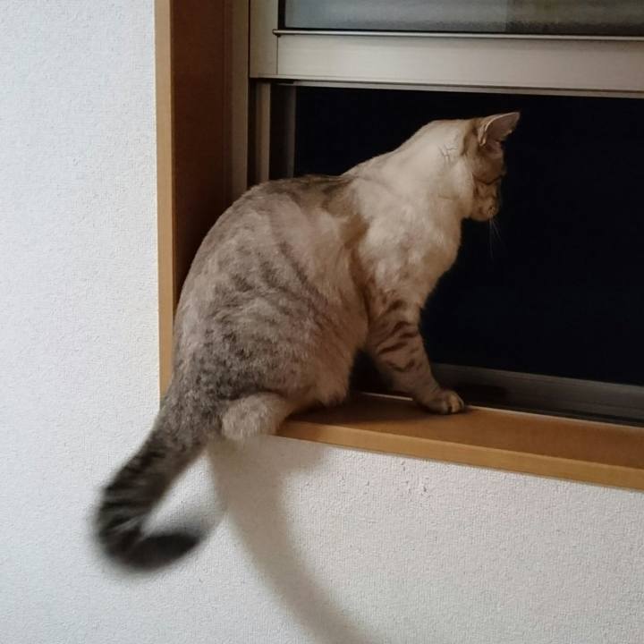 D2cece45 6c52 4ee8 8fd3 8a48aa2e21d7