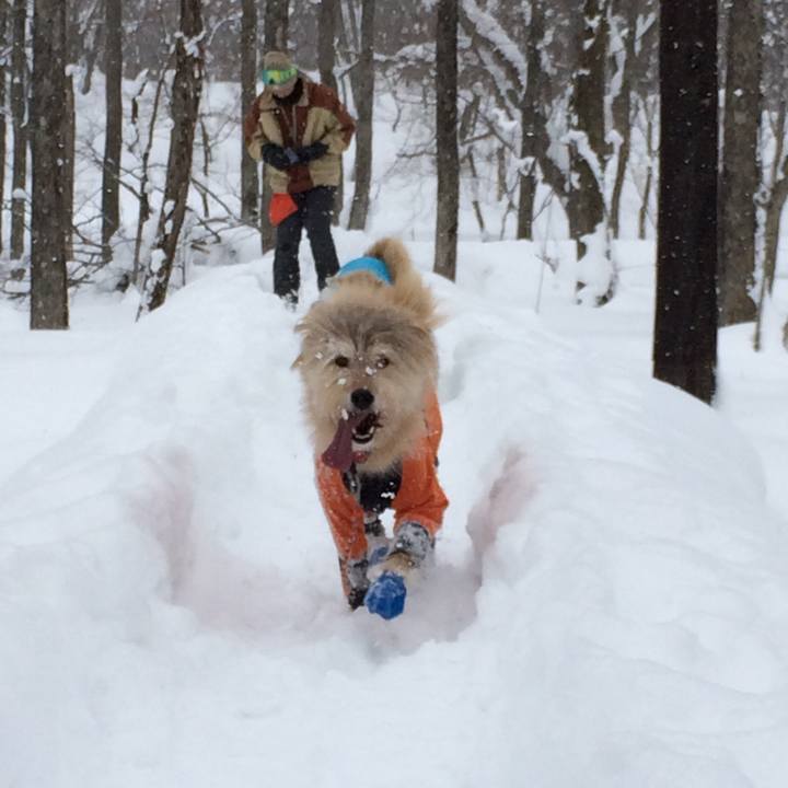 D2cef78c 9a81 43b8 83de fa4863b88d76