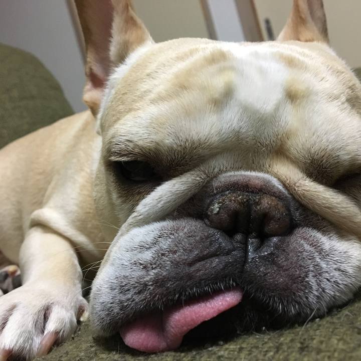 D2cf1a7a 8ae8 49be 93a5 7b1257de060d