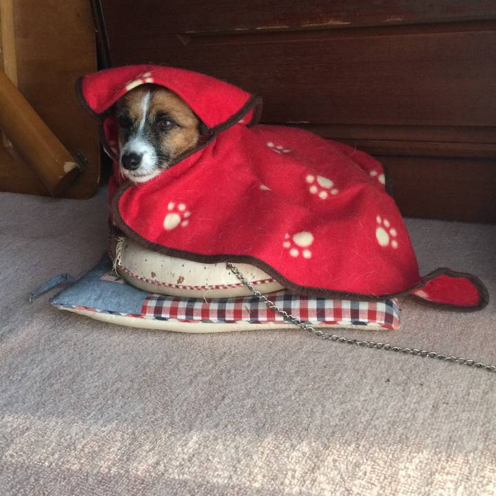 D2cfb87f 127a 49d1 828a 90db156743e3