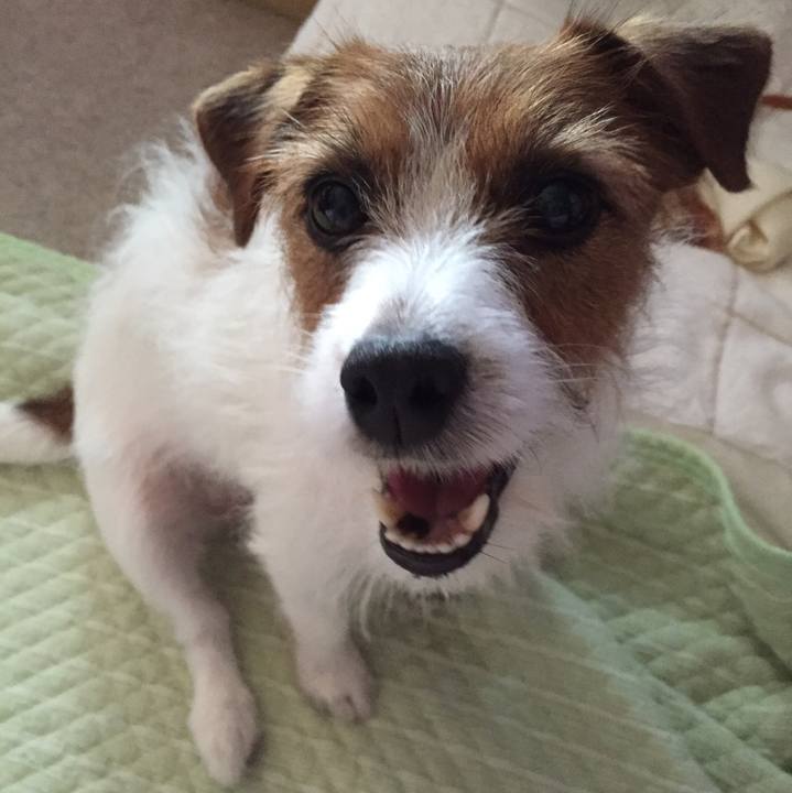 D2cfea0c 7f76 46b9 ba81 c82f3f1532ef