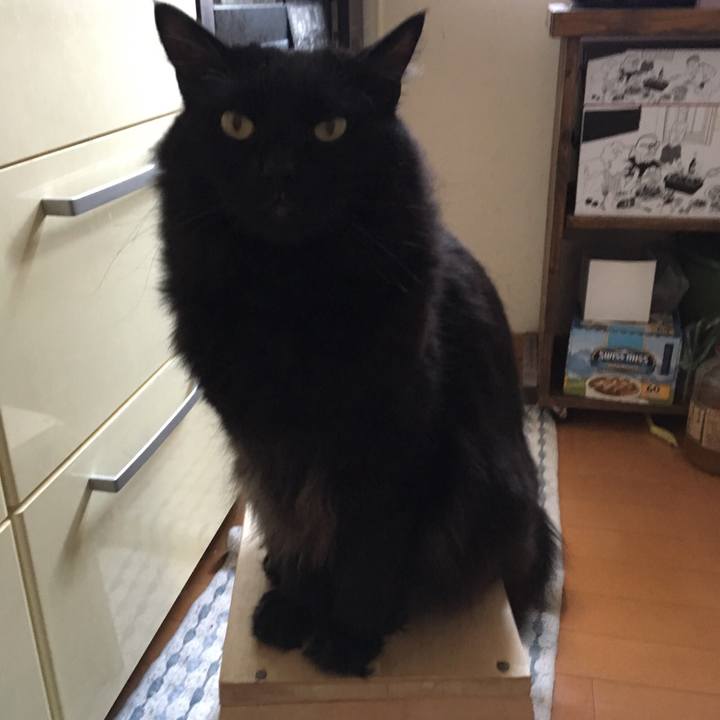 D2d06977 c505 4bc3 aea6 c41d6defa734