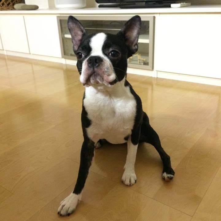 D2d07b42 8bb2 40d2 9e7e b29a375215f2