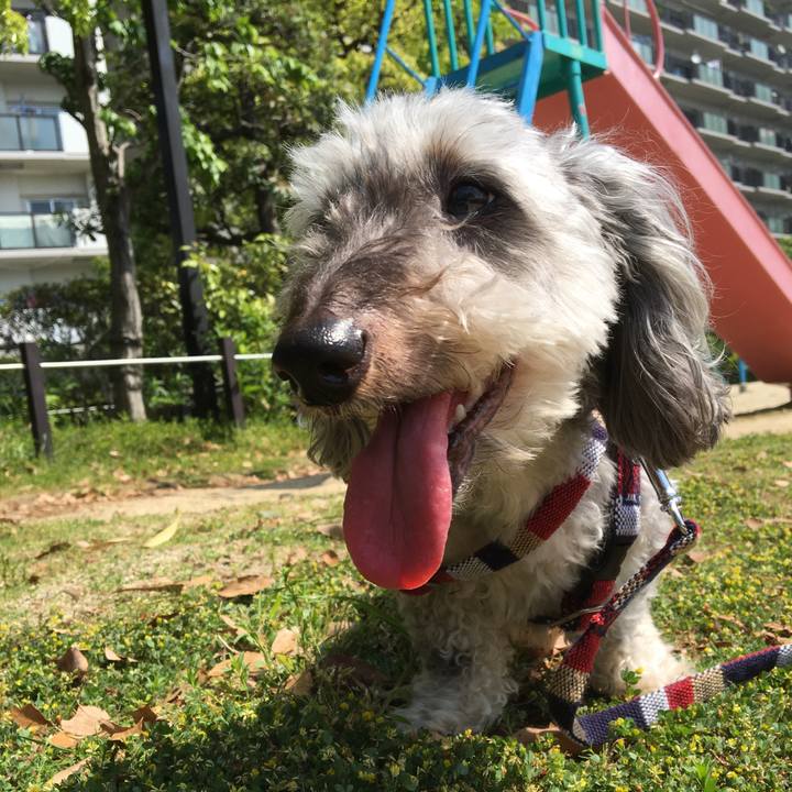 D2d09744 4212 4113 b3fd 96df76719d68