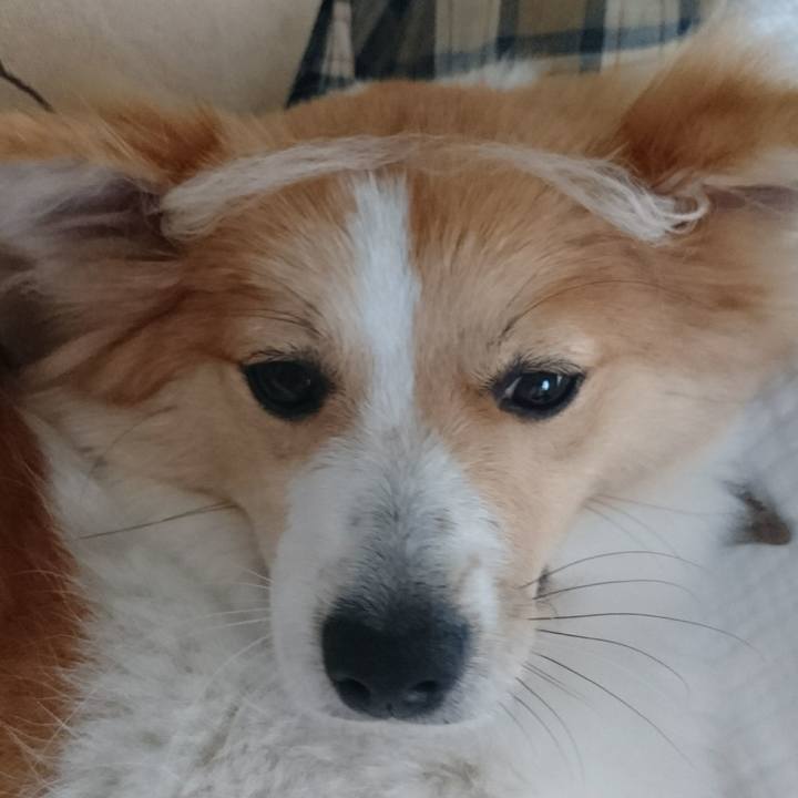 D2d0b543 2abe 4180 8ff6 866cb8405e59