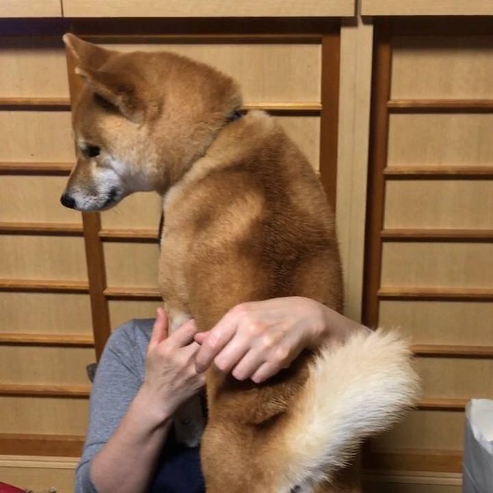 D2d16edc e9d5 48cd 9631 6fbe654faa54