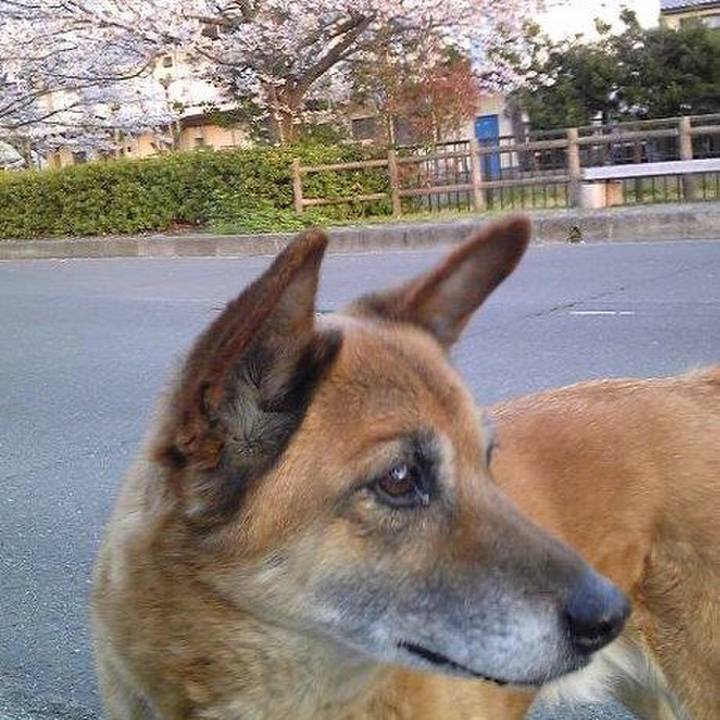 D2d2e22a 600f 4dd5 8c73 cd0c83c69630