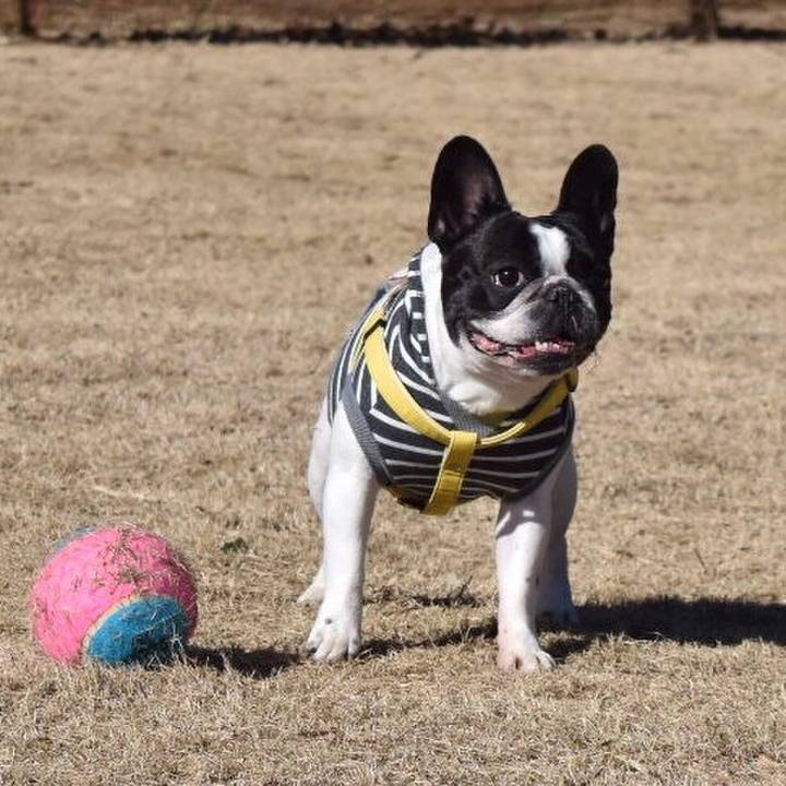 D2d317a3 08b5 433d 83d9 db97c932b96e