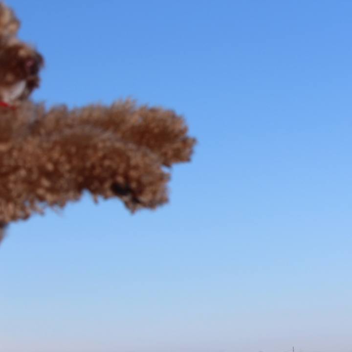 D2d3432d 2712 465a a3e5 33d159b8d76b