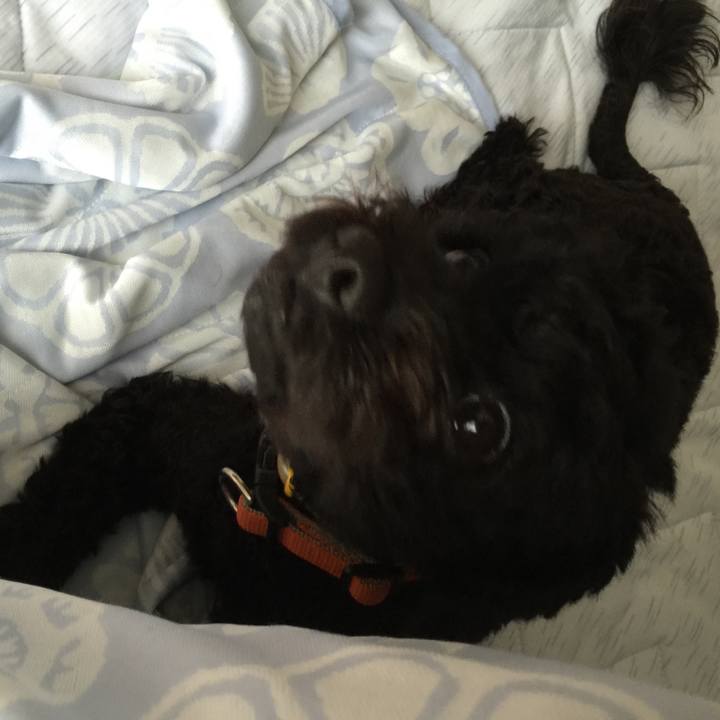 D2d3dc7f 08d6 466a afa8 1f26ed9eedc4