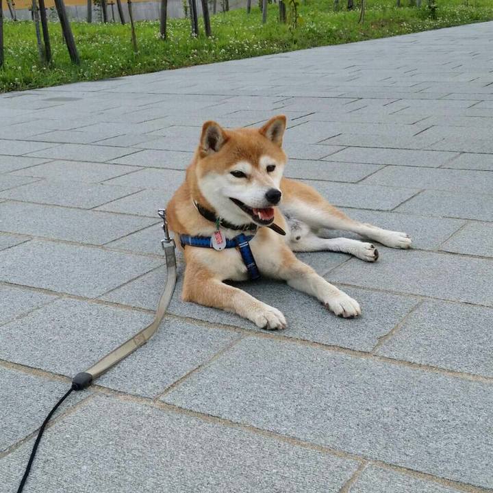 D2d3e565 f837 45c6 a9d7 cb35ac60b91f