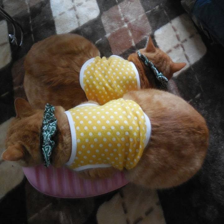 D2d47a52 ed9a 47a9 9d8c d2524a66b275