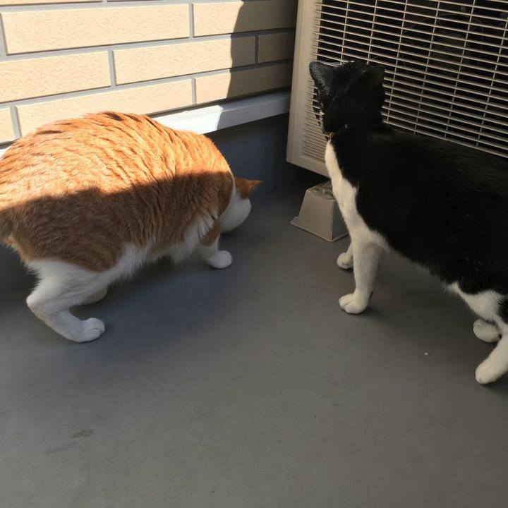 D2d49931 3be9 4dc7 beb2 570350b74738