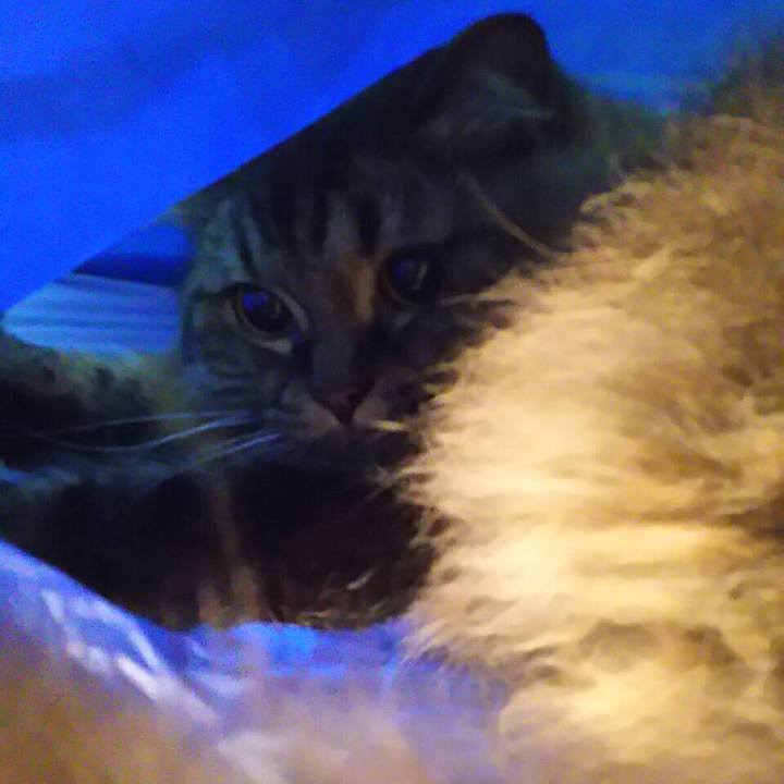 D2d49f72 e0ed 4a37 93b3 0093e551e905