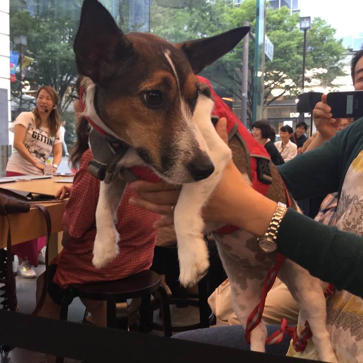 D2d4c0a7 e036 439d a90d 8c504beede82