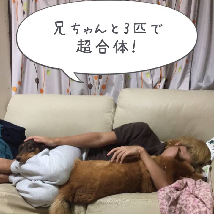 D2d4c6c6 0a71 44fd 8240 2d42df685268