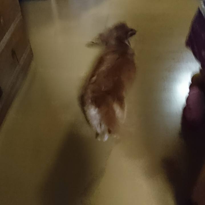 D2d4c87d 6745 4f41 83b9 3a1b427bb70b