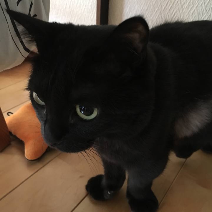 D2d5fd2f 1c66 4ddc bad4 e186a7a53b3d