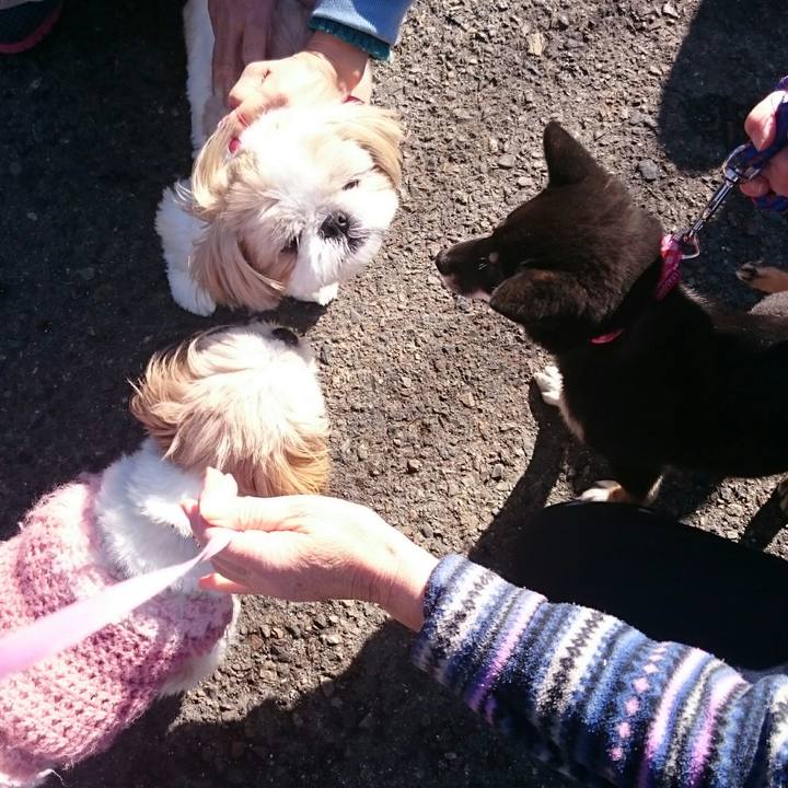 D2d61610 eb6c 4e5e b1be ddc1fe81eb5a