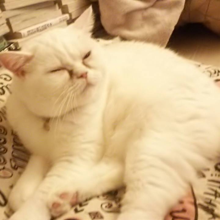 D2d67446 a873 4146 a517 7caf1639ff29