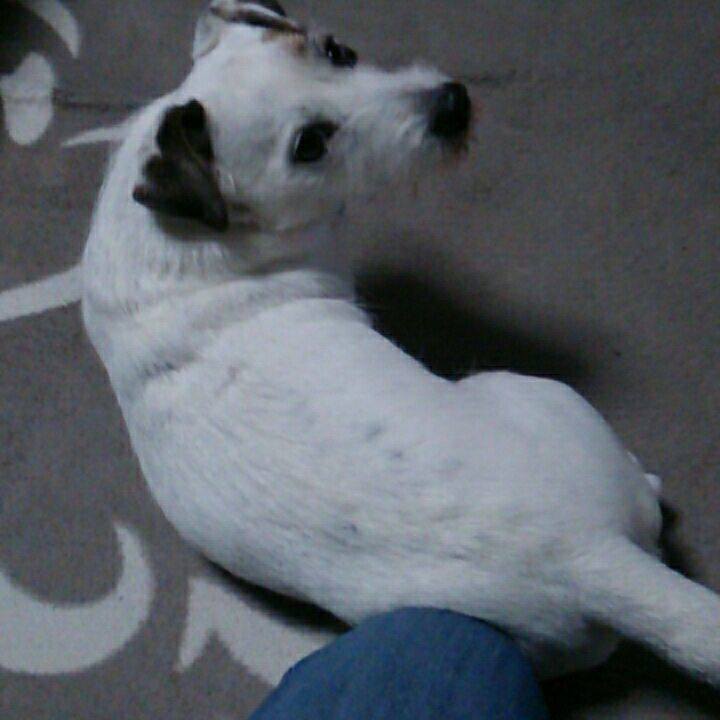 D2d749f7 3ec3 4a47 81c6 80510292917f