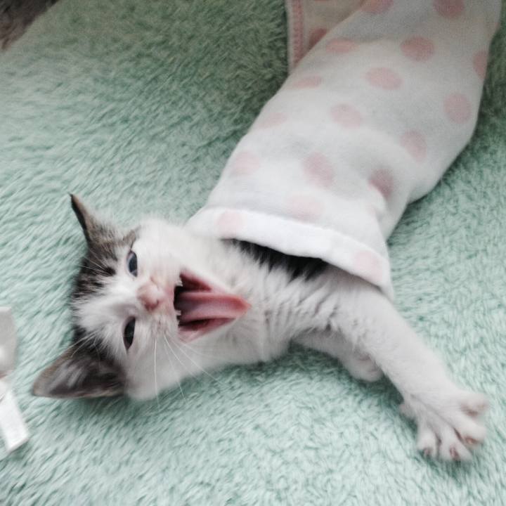 D2d81aaa bf49 4d6a bb1b 9ff168e888ca