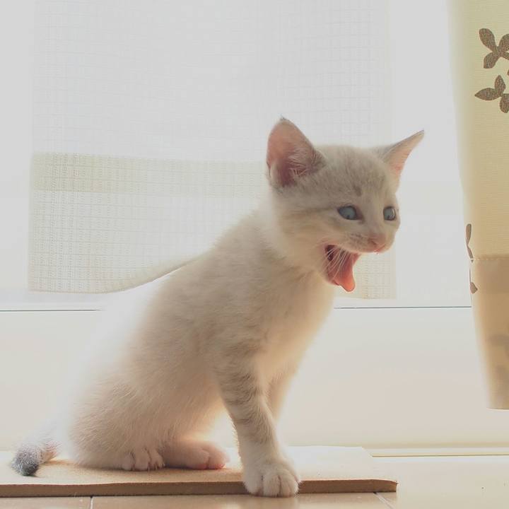 D2d8456c 37bd 484a 8478 69770f861f1b