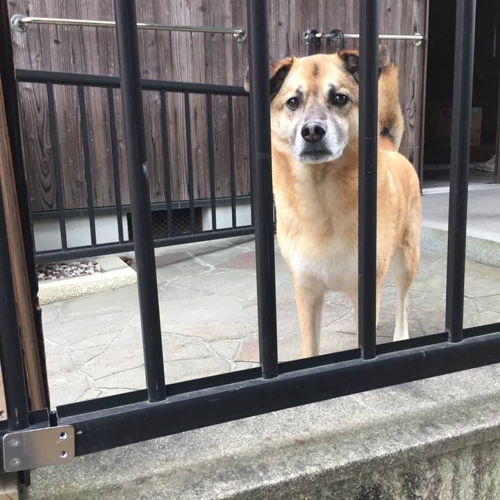 D2d8d673 e8c8 4a35 a81e a2fce4da9f1b