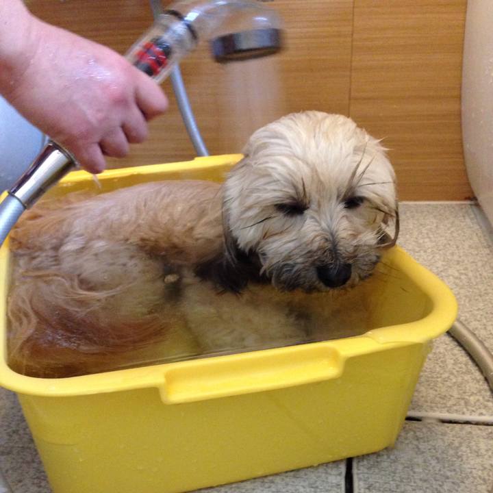 D2d932d7 5e3d 447f bf13 a0891f3165ab