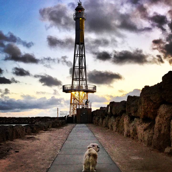 D2d93be6 69b1 47ee b284 326c0679700f