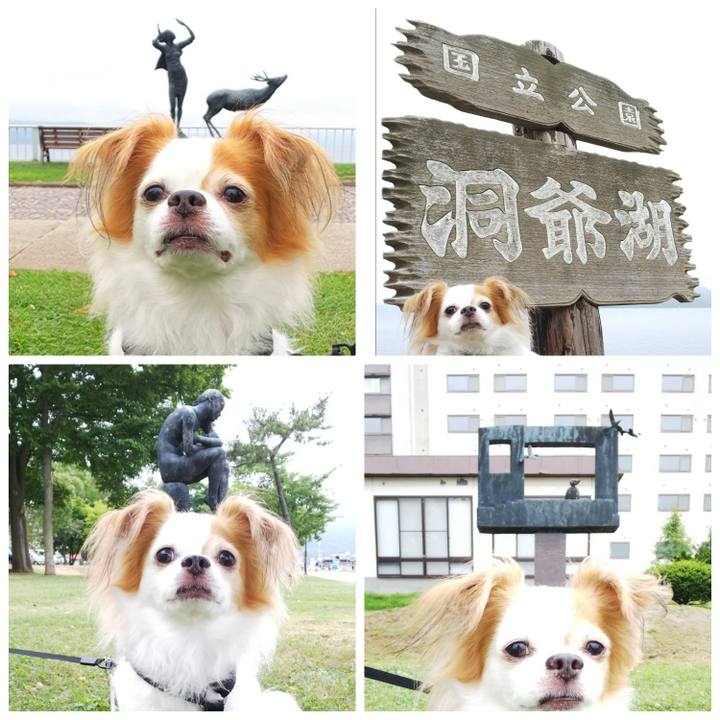 D2d976dc f199 4e79 8359 64aa0c77d38e