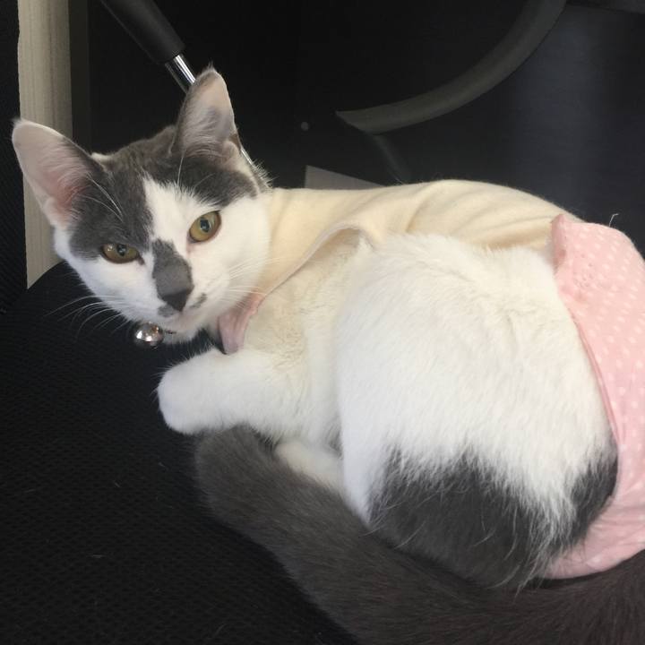 D2d9abf8 344f 4ea1 956e 391c43bdde67