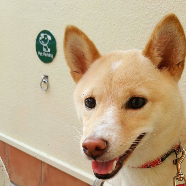 D2da4c82 b395 43b0 8418 6f3b30004608